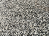 Granite Trắng SL (P2)